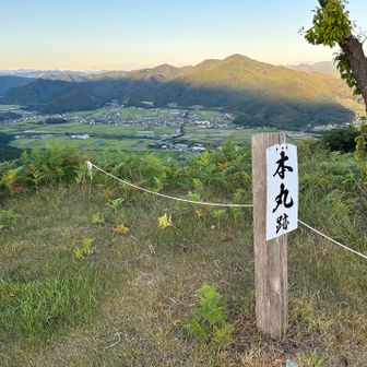 山頂は風が通って助かる