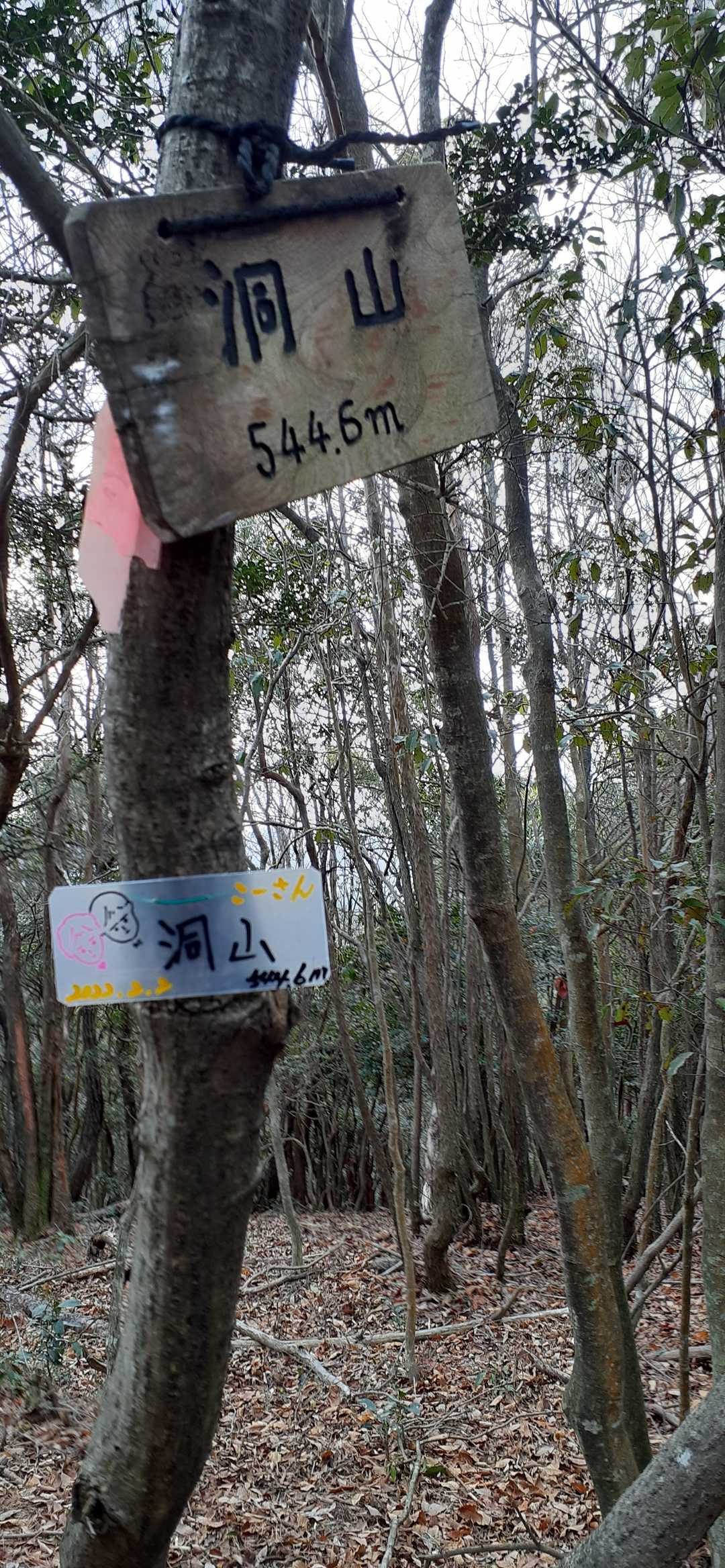 洞山（広島県）の写真