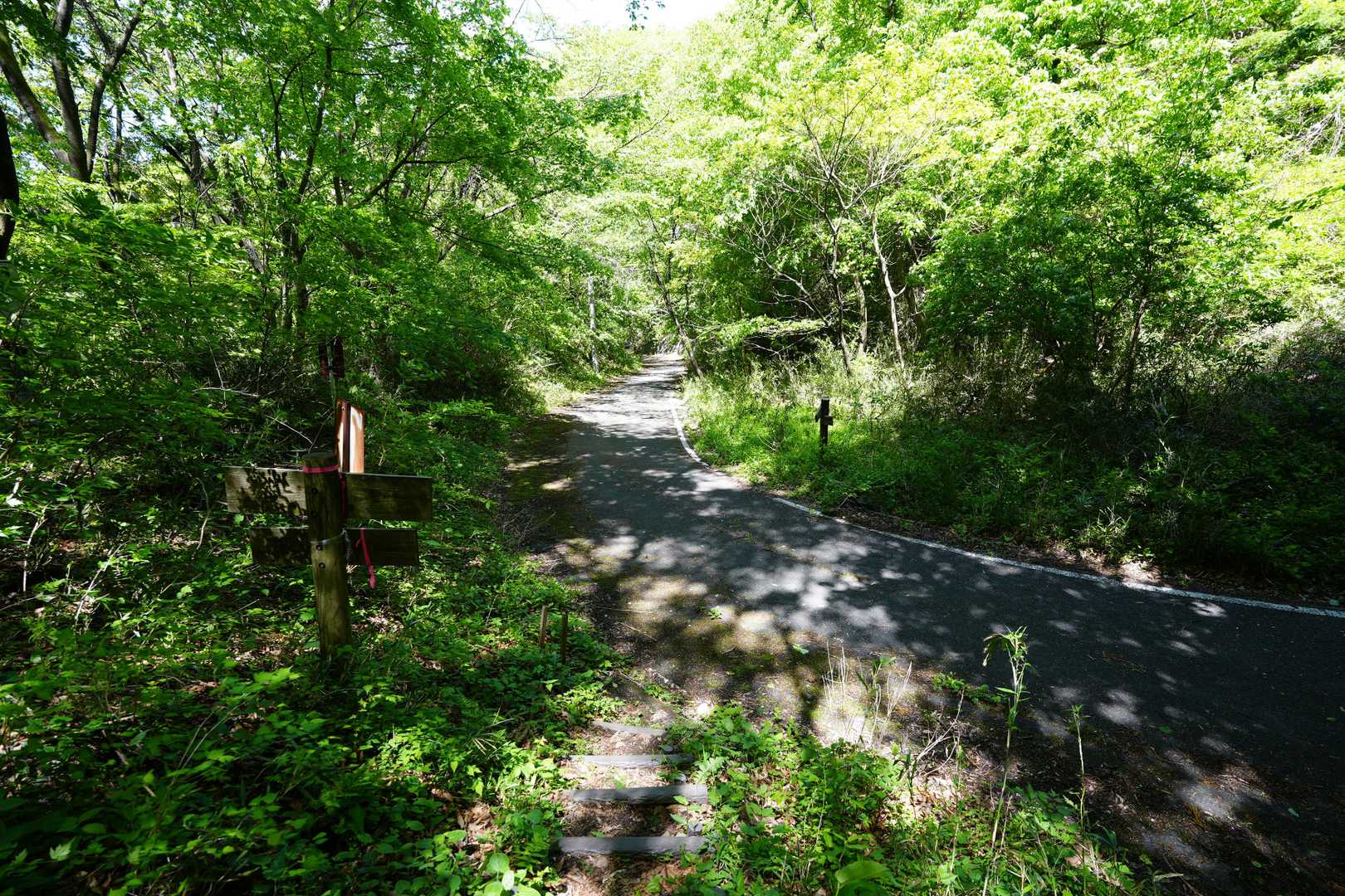 雨乞山-小野子山-中ノ岳-十二ヶ岳 往復コースの写真