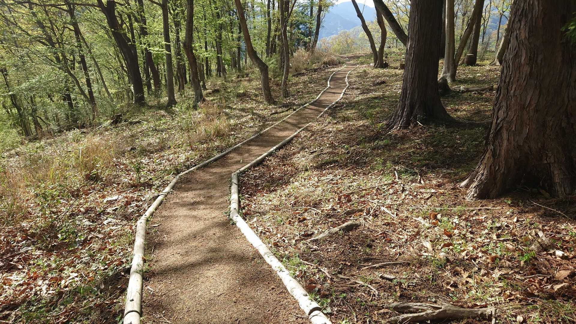 ウッドチップで道ができてます。足に優しい✨