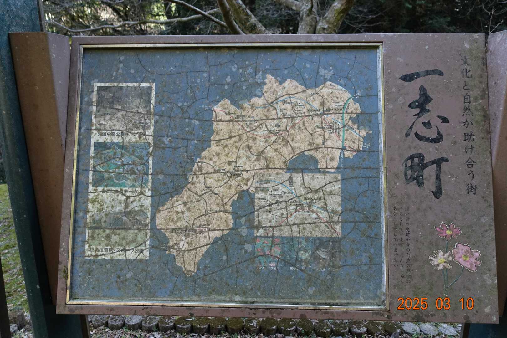 矢頭山-矢頭峠 周回コースの写真