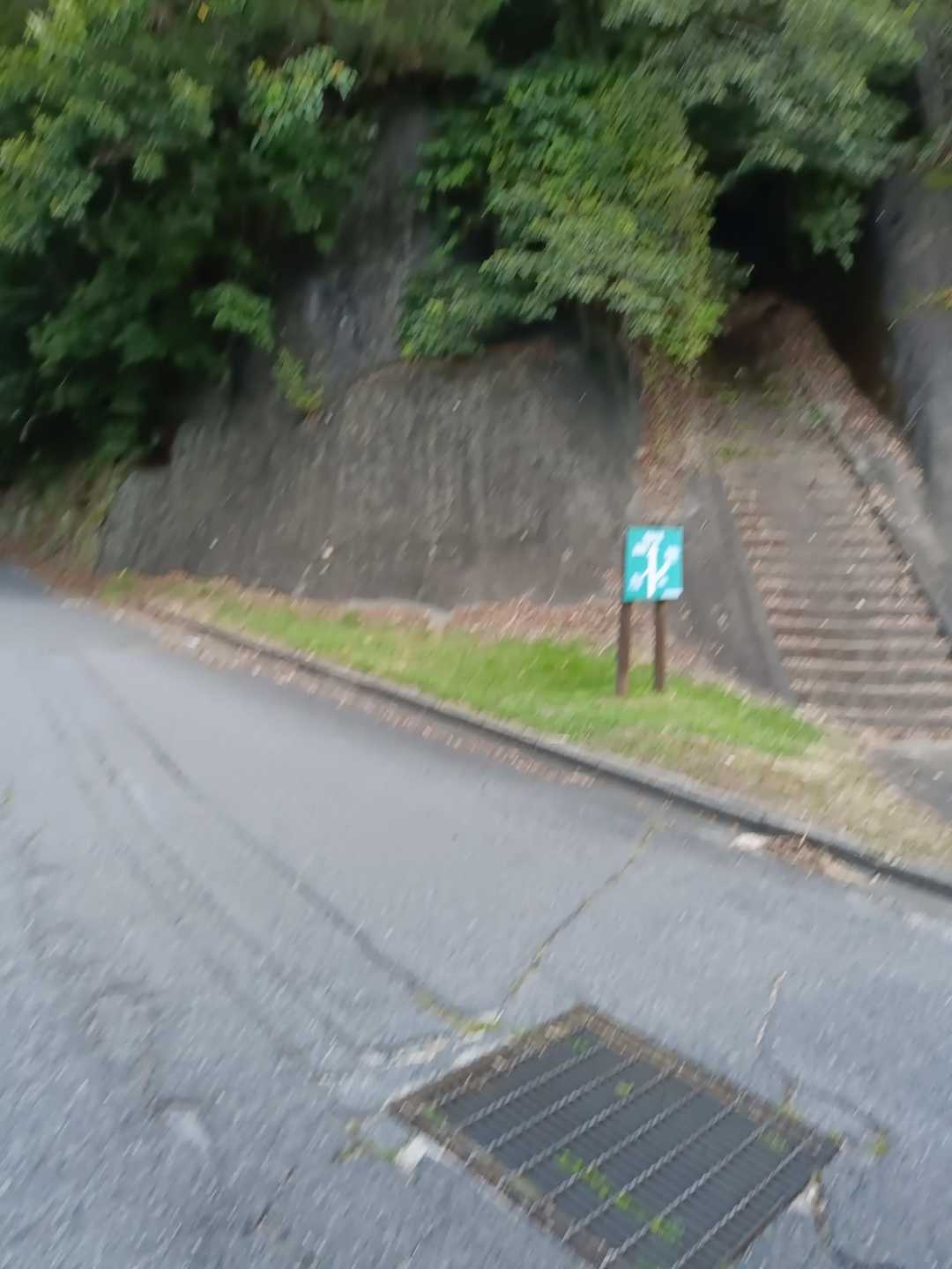 下山完了😁
早く帰ってお昼寝します💤