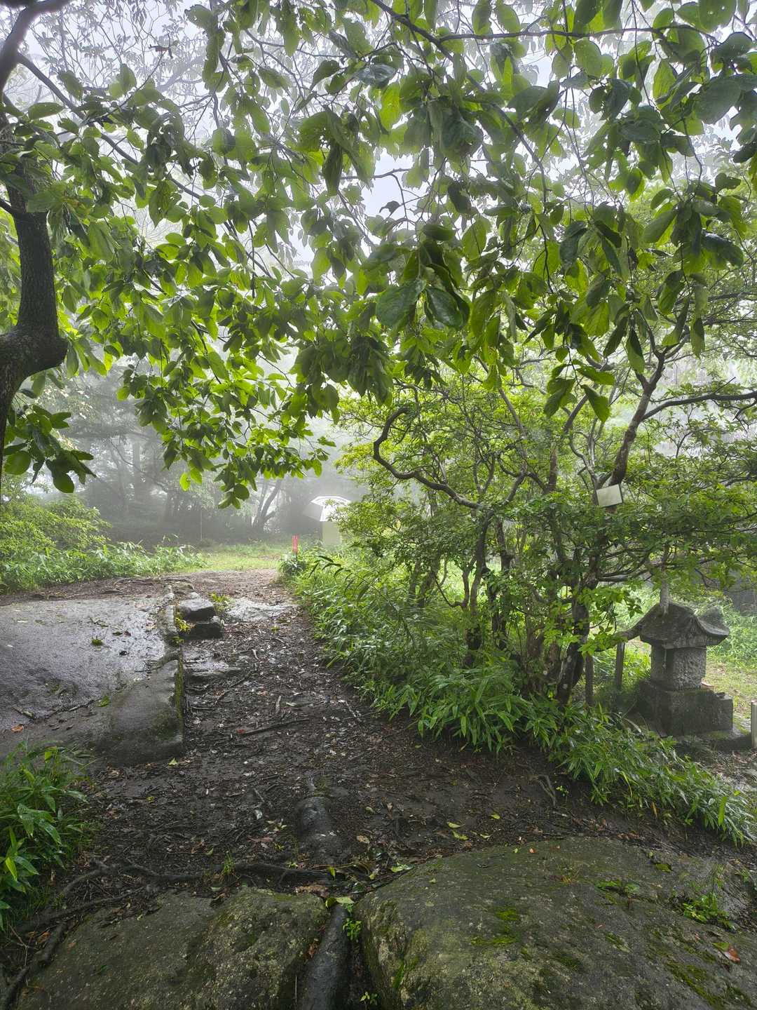 あたご天狗の森登山口-南山-団子石峠-大福山-難台山 往復コースの写真