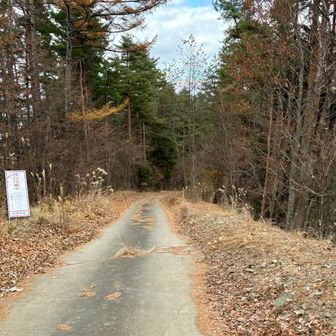 ロードを下ります