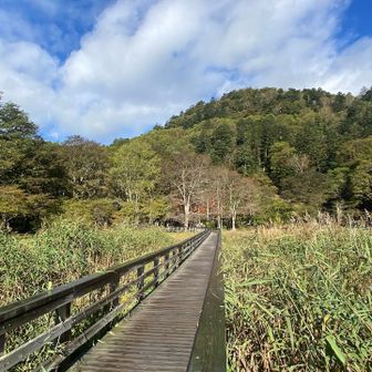 湿原の遊歩道