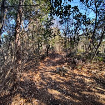 おお山頂
ここは公園なので人とも会える
階段も登る
道は…そこそこ…