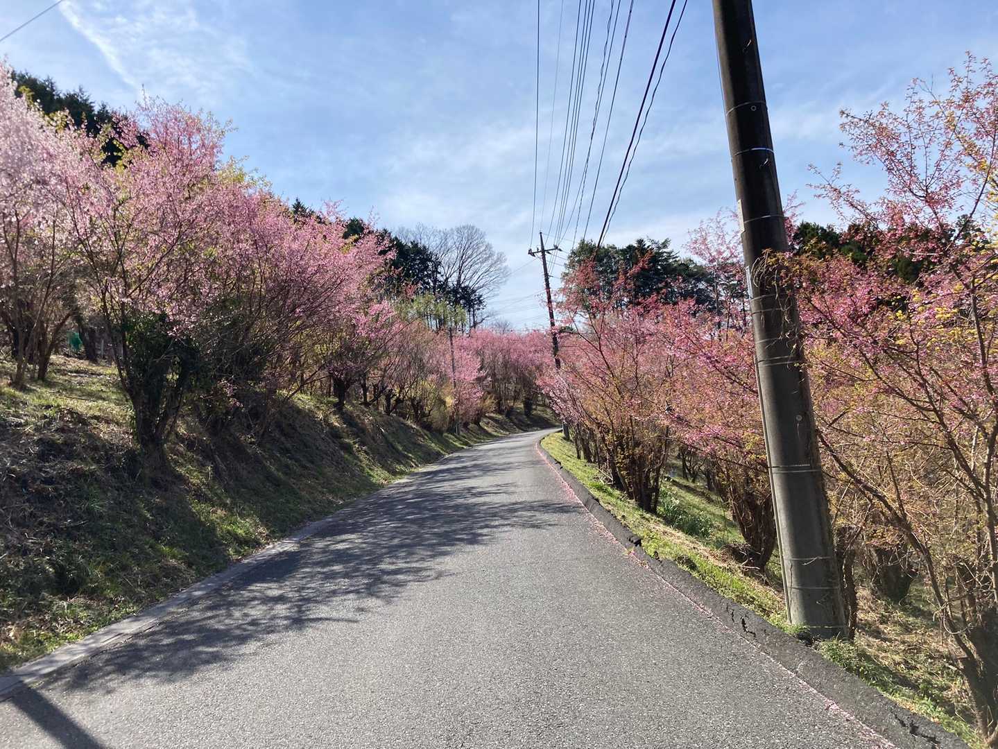 きれいだなー