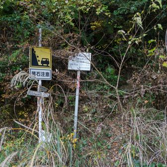 ここが「内ヶ畑Ａ登山口」らしいですが、うっそうとしてます
