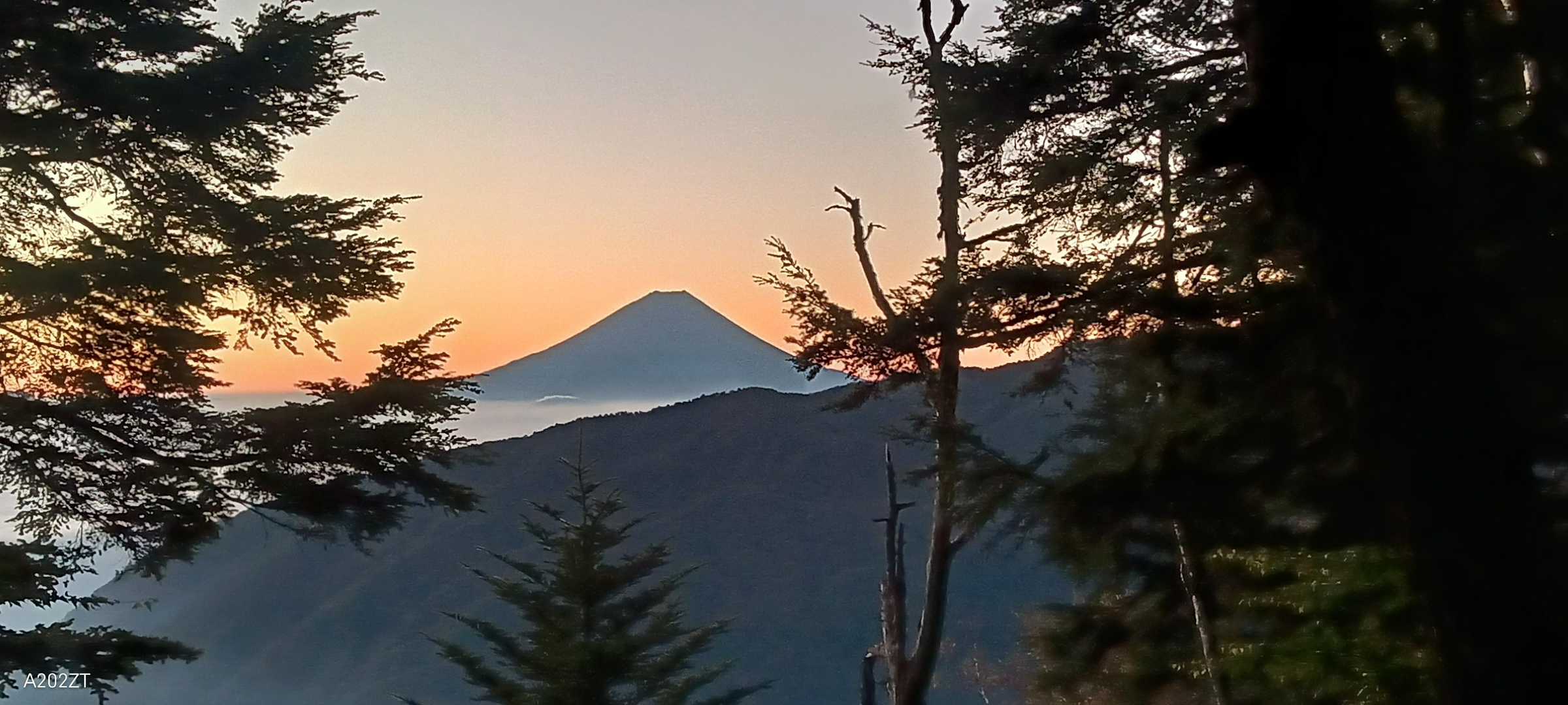 富士山のシルエットが綺麗でした