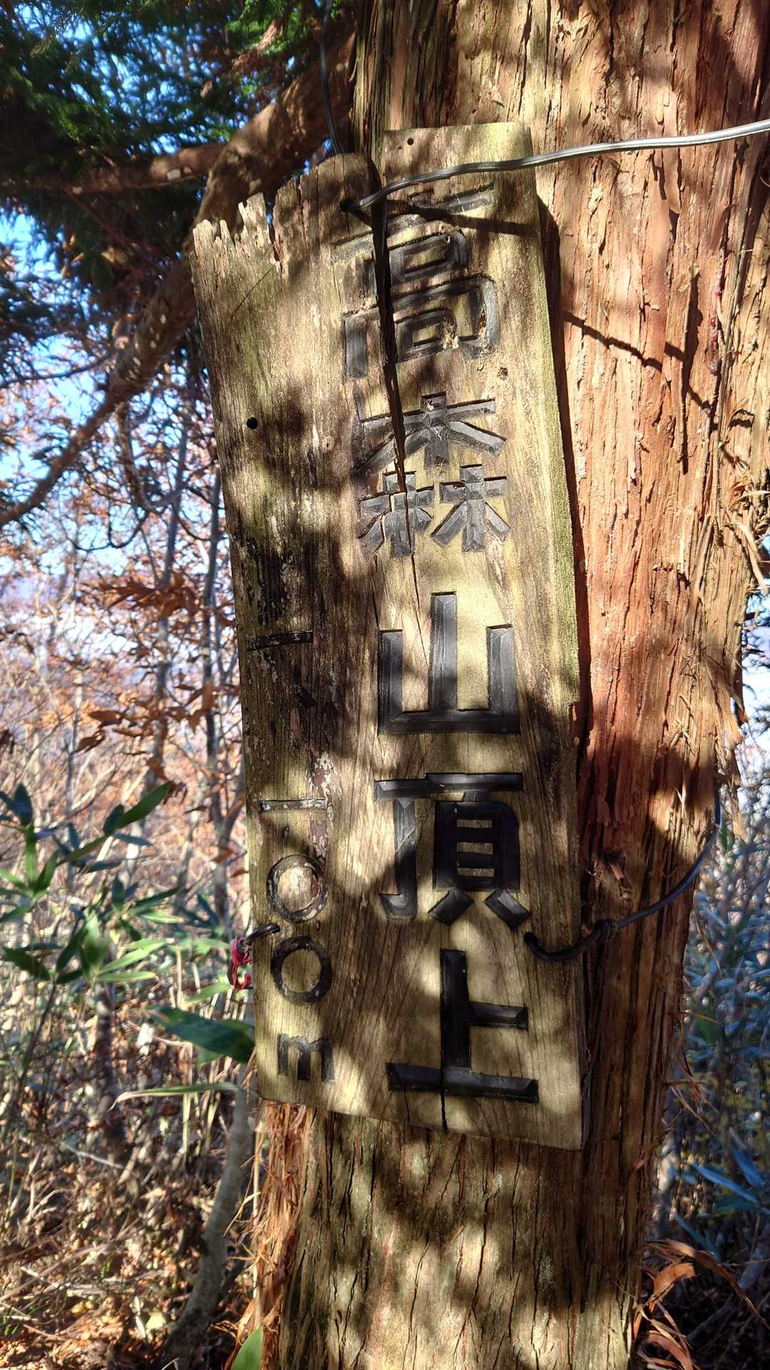 登頂  読めない