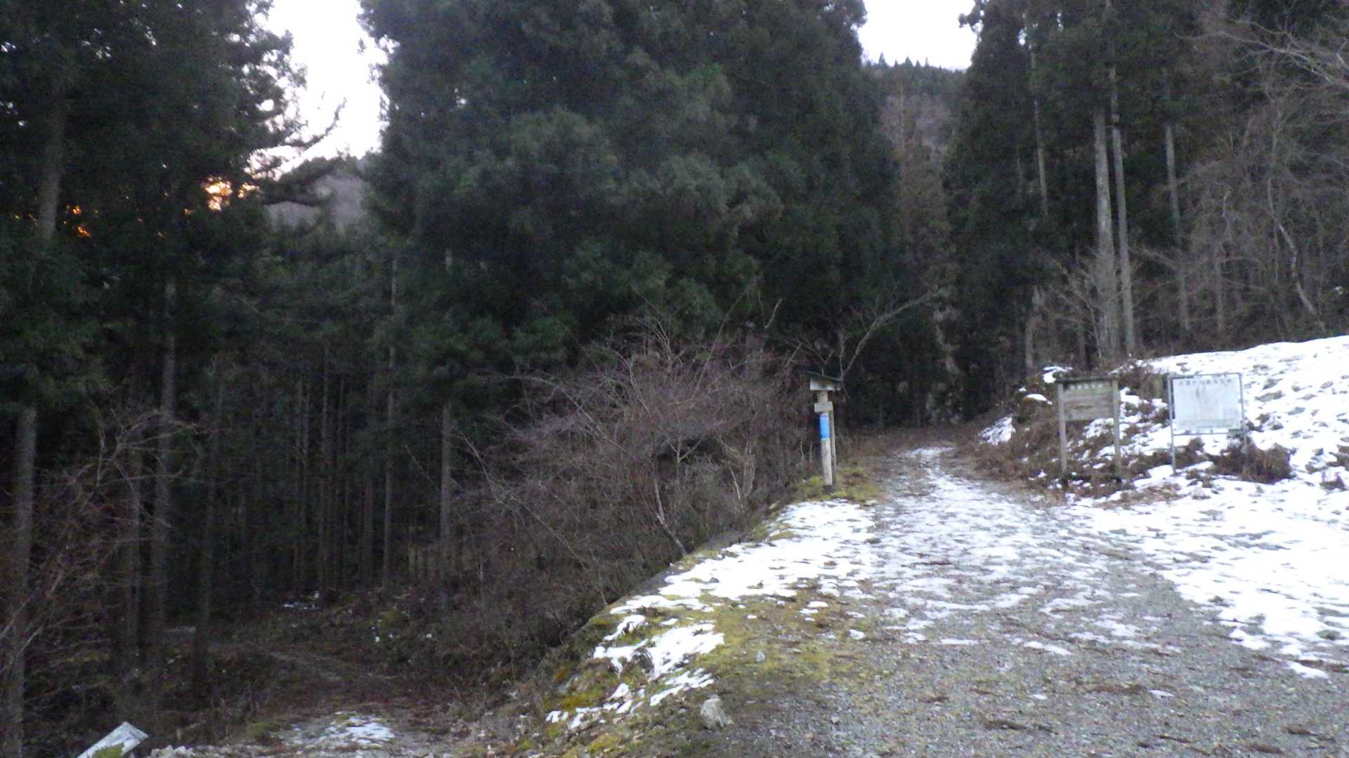 分岐を右です