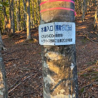 10分ほど離れたところに水場があるようです。水分は多めに持っているため立ち寄らずそのまま進みました
