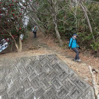 下山はサッサ、サッサ