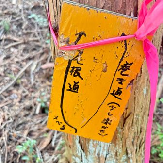 巻道で行けばよかった