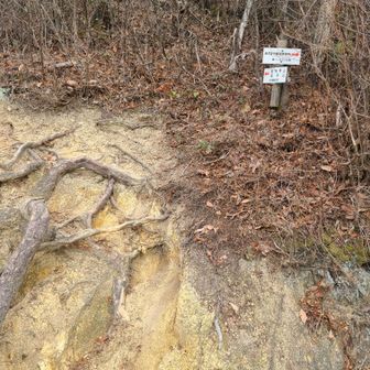 東光寺日陽山へのルートが分かりづらくて、YAMAPルートを頼りに右往左往…
