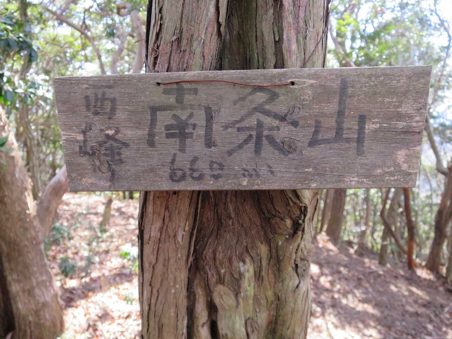 南条山山頂に到着。🚶　ここからの展望無し。