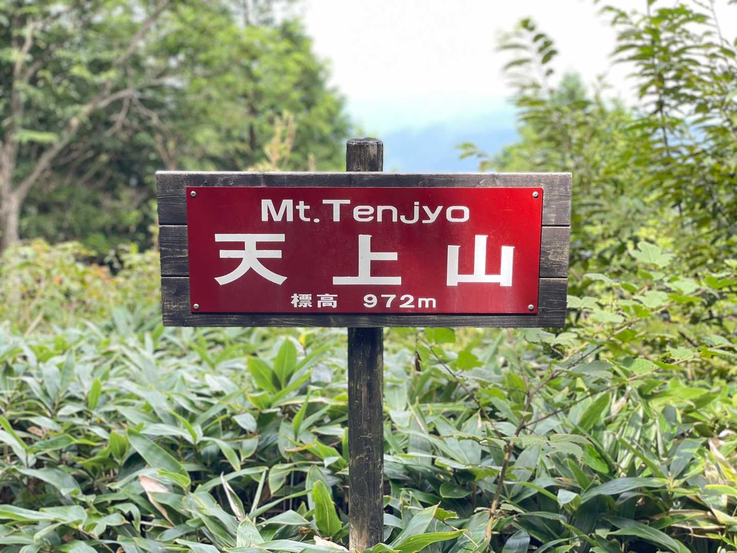 龍頭峡交流の森 森林館-天上山登山口-天上山 往復コースの写真