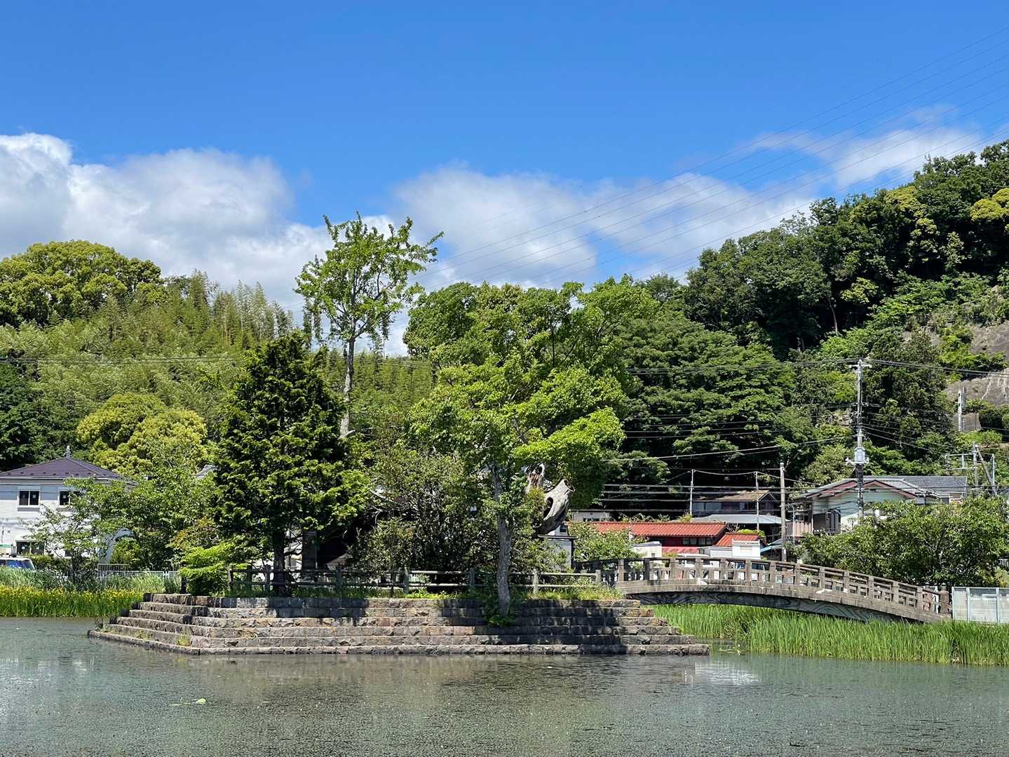 東の池
中央にある島へは橋で