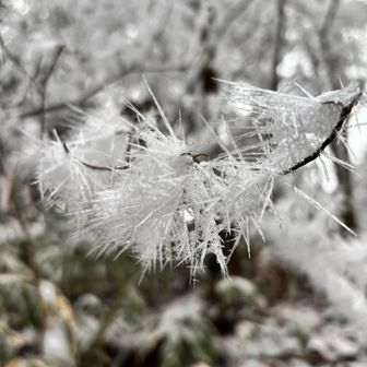 綺麗に撮れました
六甲名物