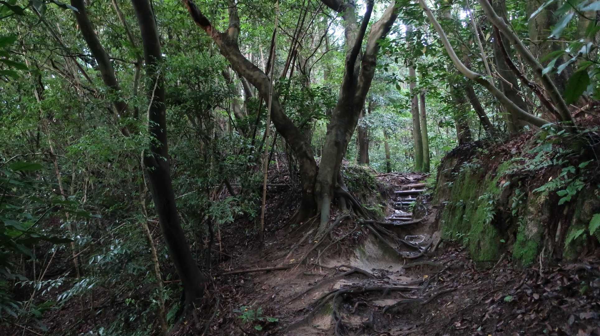 可也山 縦走コースの写真