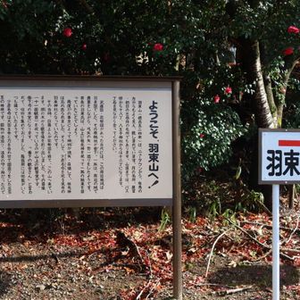 ここから羽束山へ