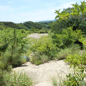 山頂から降ります。