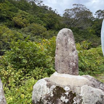 湯殿神社に参拝して、参籠所で御神湯に入って帰りました。