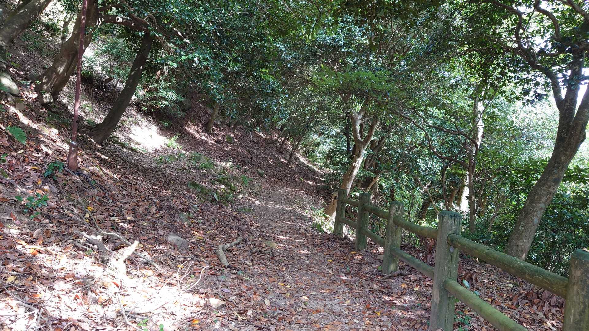 こんなふうに歩きやすい道が続きます