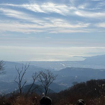 相模湾　キラキラ🤩