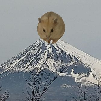 マウナリア