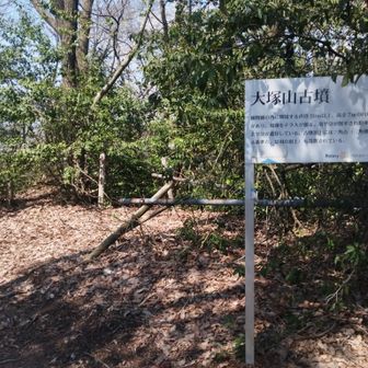 ２分で頂上に着く足羽山頂上への登山口は駐車場脇にあります
古墳看板を超えて左側上方向
足羽山全体が古墳かもです