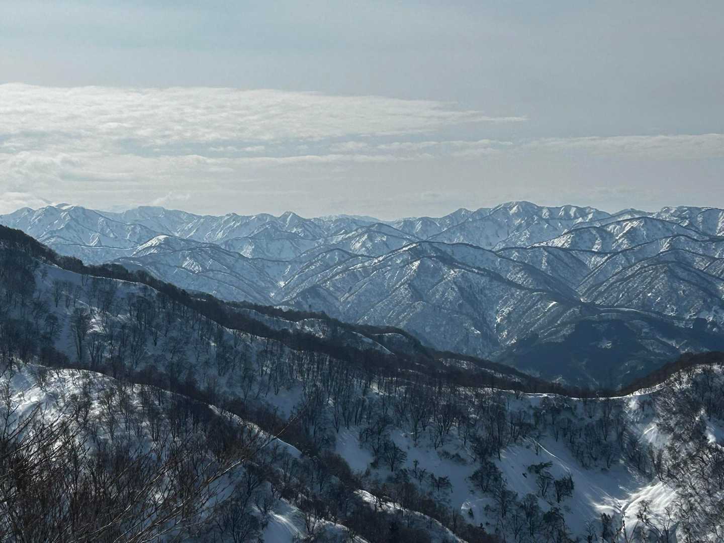 前山-白兀山 往復コースの写真
