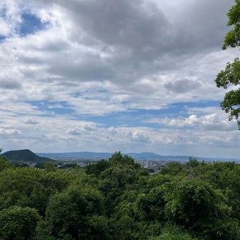 ほんと丘って感じ