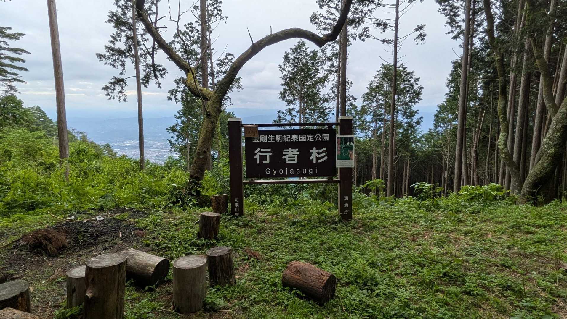 かなり伐採されて展望良し♫