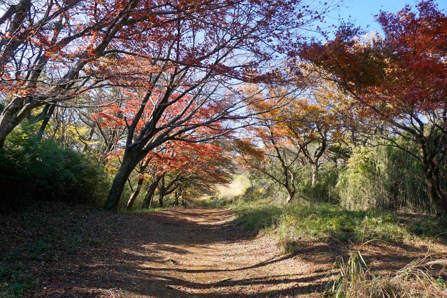 平日だけど沢山の方が訪れてました。
