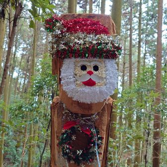 きた〰〰💃
これを見に来たんです🥳