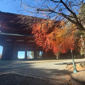 少しだけ紅葉🍁