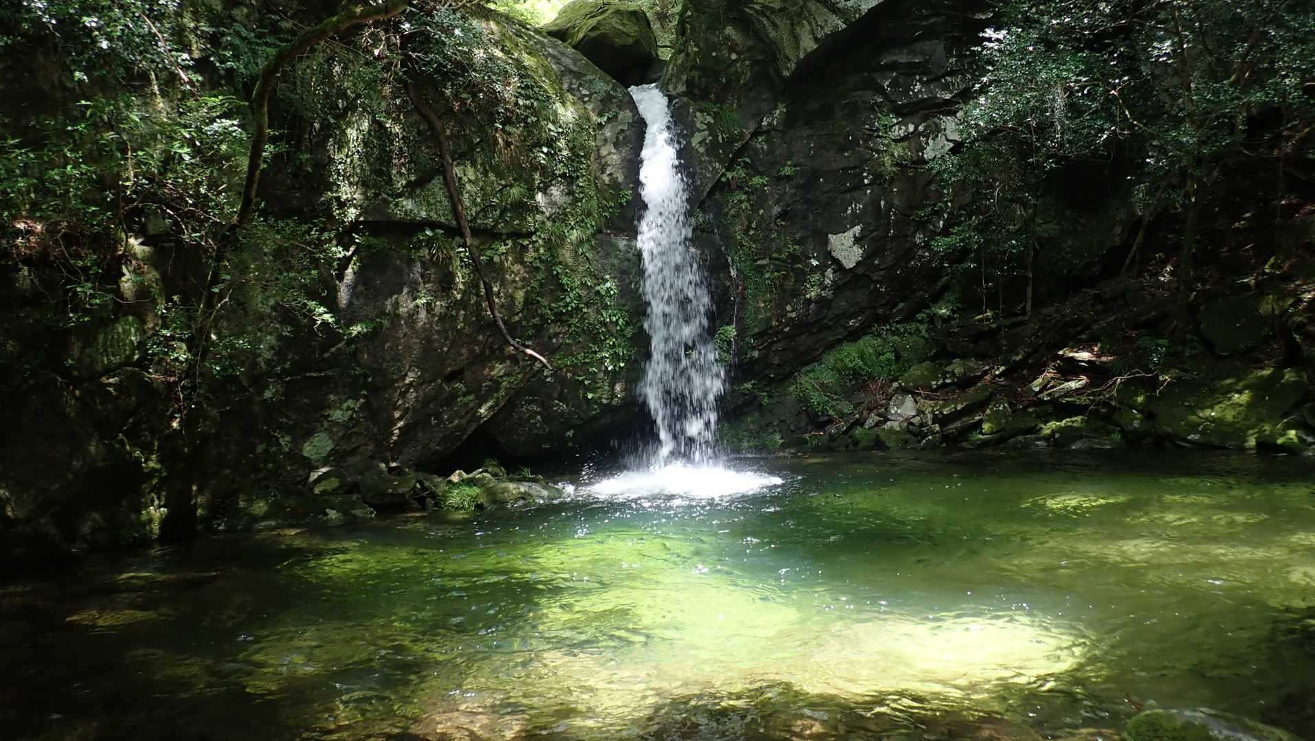 雨乞の滝
光が差し込むと思い、帰りも同じコース。