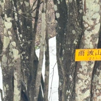 着いた(軌跡は何故か手前で折り返してますが、標識まで歩いてます)