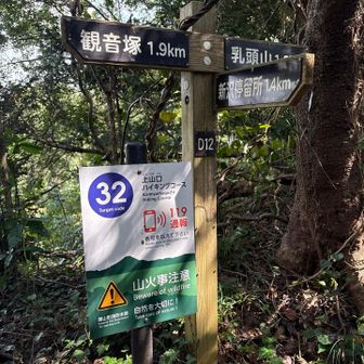 冷や汗をかきつつ、尾根道に到達。