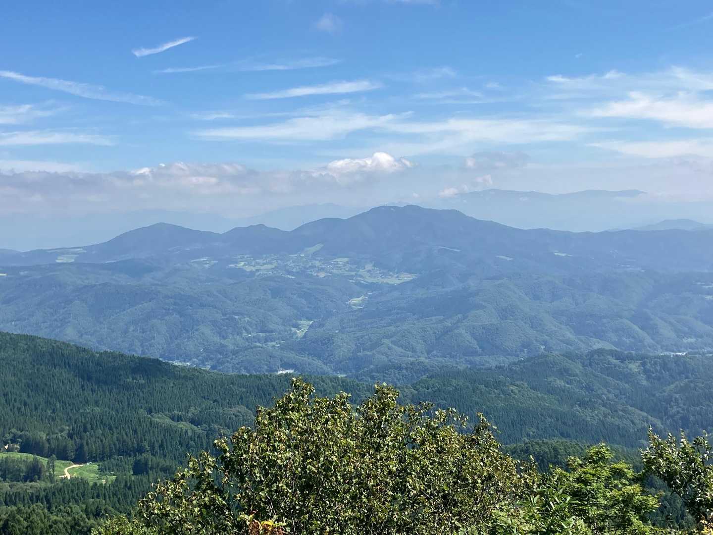 尖山⛰山頂からの眺望🏞
白鷹山⛰がこんなにカッコ良く見えるとは⁉️ 驚き ヤマノキ 山椒の木😄