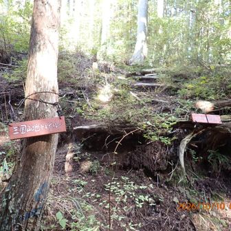 三国山地トレイル起点(牛坂～鍋谷峠)