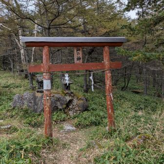 山の神神社にお礼して登山終了
今日はさほどしんどくなかった😄