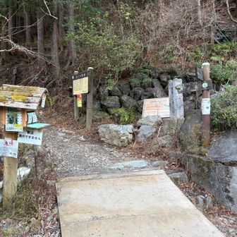 登山口　駐車場から約30分