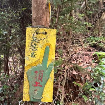 頂上の文字はテンション⤴️あがる