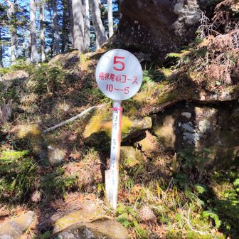 県界尾根、途中で何処まで来たかわかるけど数字が微妙