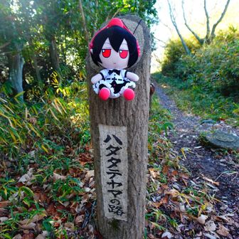 ハタテちゃん！？