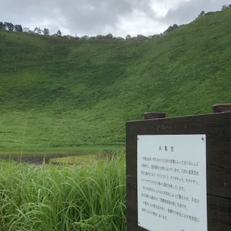 お亀池🌿に戻ってくる
