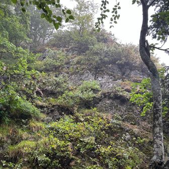 ヒグマ目撃ポイントの岩峰（ほか1か所あり）
アリを食べに来るらしい
周りに人がいなかったので、流石に緊張しながら熊スプレー片手に時々声を出しながら進む
