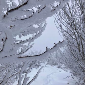 稜線に乗ると先行者お二人？のトレースがありました。